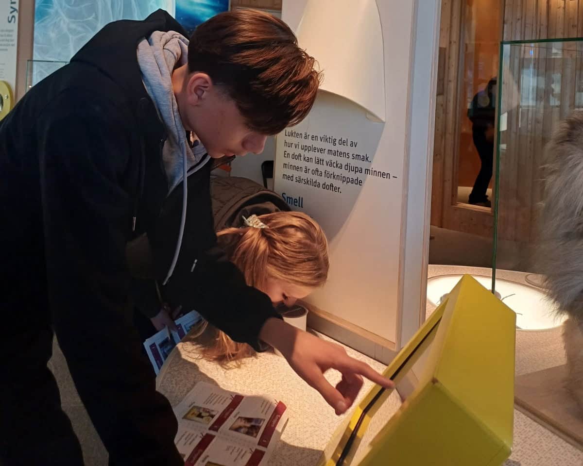 Förra veckan hade eleverna på Tellusskolan Thea Bromma en inspirerande dag med fokus på kultur, historia och samhällskunskap, en del av skolans årsprojekt där lärandet flyttar utanför klassrummet.